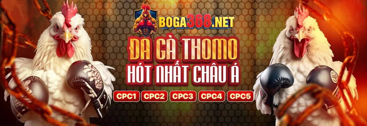 Tổng quan nền tảng cá cược 82vn